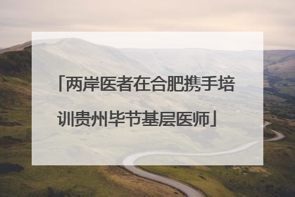 两岸医者在合肥携手培训贵州毕节基层医师