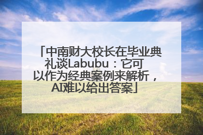 中南财大校长在毕业典礼谈Labubu：它可以作为经典案例来解析，AI难以给出答案