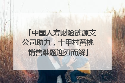 中国人寿财险涟源支公司助力，十甲村黄桃销售难题迎刃而解