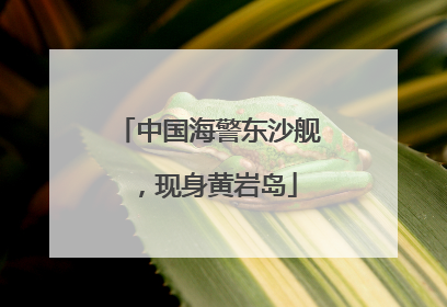 中国海警东沙舰，现身黄岩岛