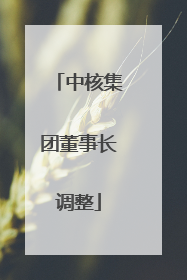 中核集团董事长调整