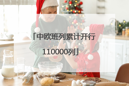 中欧班列累计开行110000列