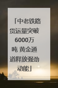 中老铁路货运量突破6000万吨 黄金通道释放强劲动能