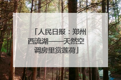 人民日报：郑州西流湖——天然空调房里赏莲荷