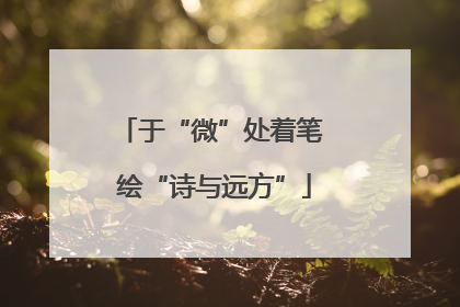 于“微”处着笔 绘“诗与远方”