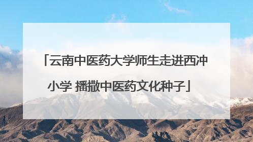 云南中医药大学师生走进西冲小学 播撒中医药文化种子