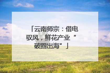 云南师宗：借电驭风，鲜花产业“破圈出海”