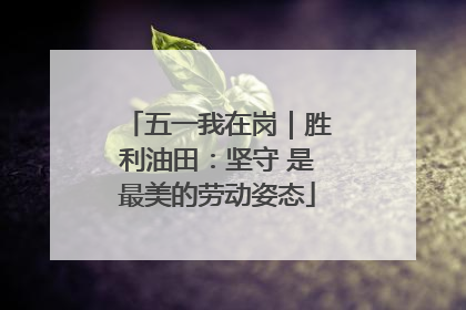 五一我在岗｜胜利油田：坚守 是最美的劳动姿态