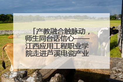 产教融合触脉动，师生同台话信心——江西应用工程职业学院走进芦溪电瓷产业园创新思政课堂