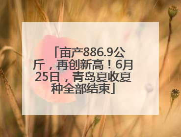 亩产886.9公斤，再创新高！6月25日，青岛夏收夏种全部结束