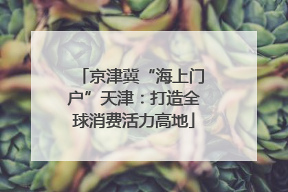 京津冀“海上门户”天津：打造全球消费活力高地