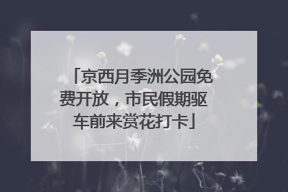 京西月季洲公园免费开放，市民假期驱车前来赏花打卡