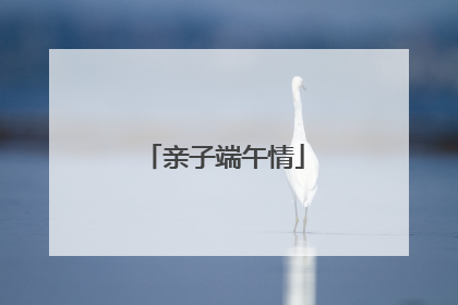 亲子端午情