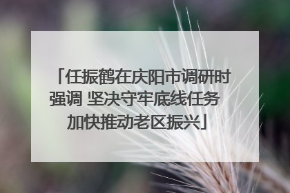 任振鹤在庆阳市调研时强调 坚决守牢底线任务 加快推动老区振兴