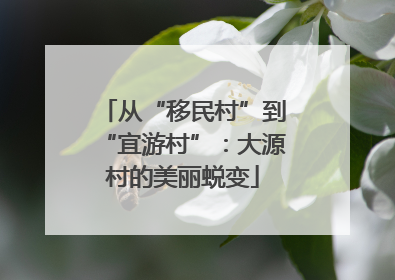 从“移民村”到“宜游村”：大源村的美丽蜕变