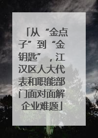 从“金点子”到“金钥匙”，江汉区人大代表和职能部门面对面解企业难题