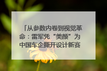 从参数内卷到视觉革命：雷军凭“美颜”为中国车企撕开设计新赛道｜封面车评
