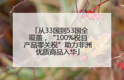 从33国到53国全覆盖，“100%税目产品零关税”助力非洲优质商品入华