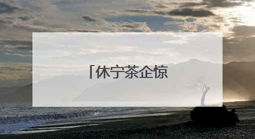 休宁茶企惊艳茶博会