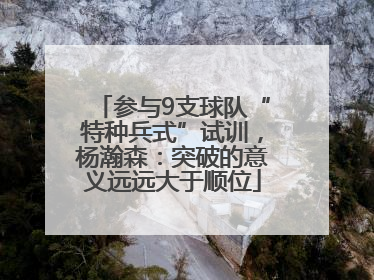 参与9支球队“特种兵式”试训，杨瀚森：突破的意义远远大于顺位