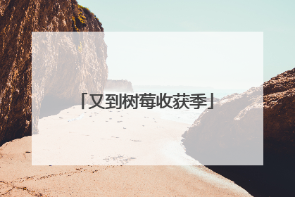 又到树莓收获季