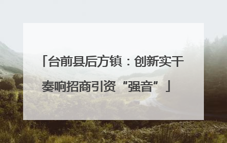 台前县后方镇：创新实干奏响招商引资“强音”