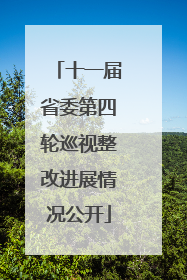 十一届省委第四轮巡视整改进展情况公开