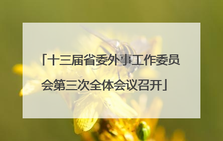 十三届省委外事工作委员会第三次全体会议召开