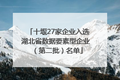 十堰27家企业入选湖北省数据要素型企业（第二批）名单