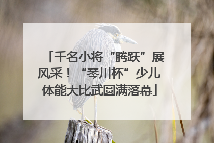 千名小将“腾跃”展风采！“琴川杯”少儿体能大比武圆满落幕