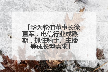 华为轮值董事长徐直军：电信行业成熟期，抓住骑手、主播等成长型需求