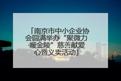 南京市中小企业协会圆满举办“聚微力·暖金陵”慈善献爱心暨义卖活动