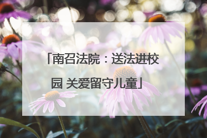 南召法院：送法进校园 关爱留守儿童