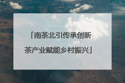 南茶北引传承创新 茶产业赋能乡村振兴