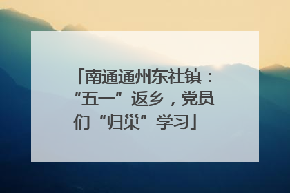 南通通州东社镇：“五一”返乡，党员们“归巢”学习