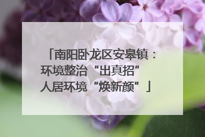 南阳卧龙区安皋镇：环境整治“出真招” 人居环境“焕新颜”