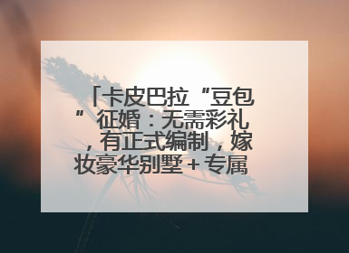 卡皮巴拉“豆包”征婚：无需彩礼，有正式编制，嫁妆豪华别墅＋专属泳池！