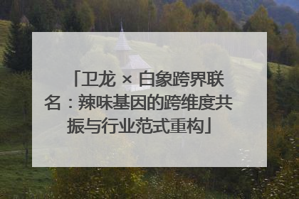 卫龙 × 白象跨界联名：辣味基因的跨维度共振与行业范式重构