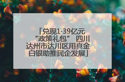 兑现1·39亿元“政策礼包” 四川达州市达川区用真金白银助推民企发展