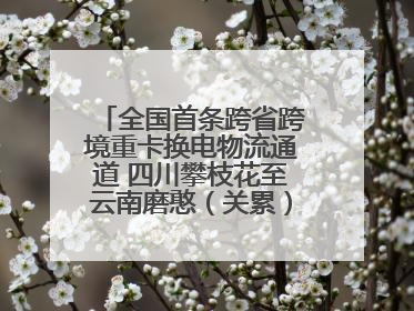 全国首条跨省跨境重卡换电物流通道 四川攀枝花至云南磨憨（关累）换电干线启动