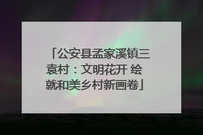 公安县孟家溪镇三袁村：文明花开 绘就和美乡村新画卷