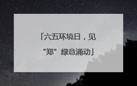 六五环境日，见“郑”绿意涌动