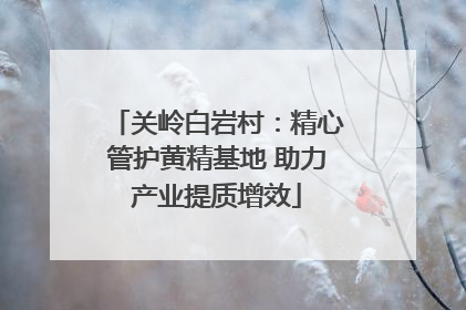关岭白岩村：精心管护黄精基地 助力产业提质增效