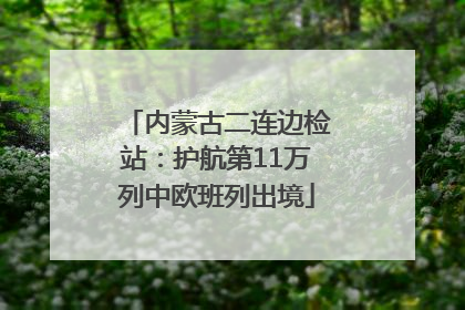 内蒙古二连边检站：护航第11万列中欧班列出境