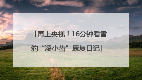再上央视！16分钟看雪豹“凌小蛰”康复日记