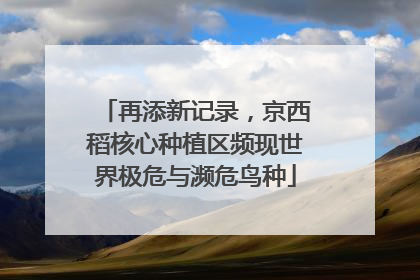 再添新记录，京西稻核心种植区频现世界极危与濒危鸟种