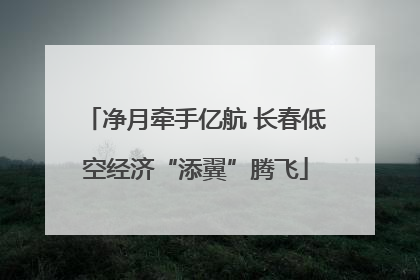 净月牵手亿航 长春低空经济“添翼”腾飞