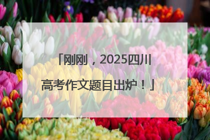 刚刚，2025四川高考作文题目出炉！