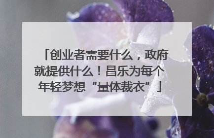 创业者需要什么，政府就提供什么！昌乐为每个年轻梦想“量体裁衣”