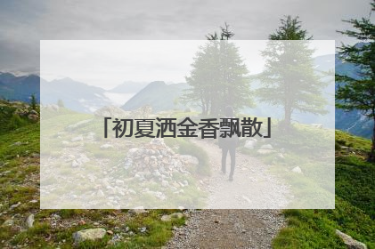 初夏洒金香飘散